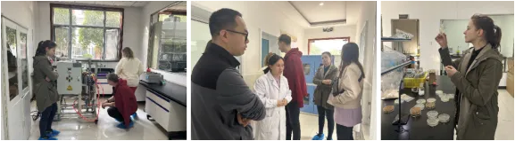 w88win优德(中国)有限公司官方网站